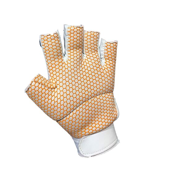 DSC Fielding Gloves Rang