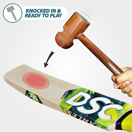Dsc Torment LE Incredible Willow Cricket Bat