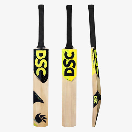 DSC Condor Flicker Kashmir Willow Cricket Bat