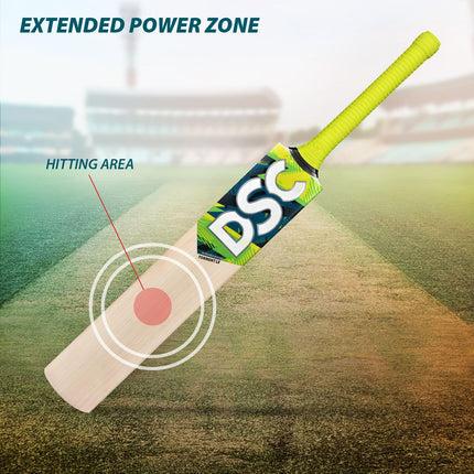 Dsc Torment LE Incredible Willow Cricket Bat