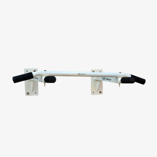 Cougar Wall Mounted Multi Exerciser – WLB-119