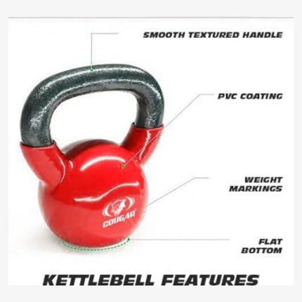 Cougar Vinyl Kettlebell for Home Gym (2kg, 4Kg, 6Kg, 8Kg)