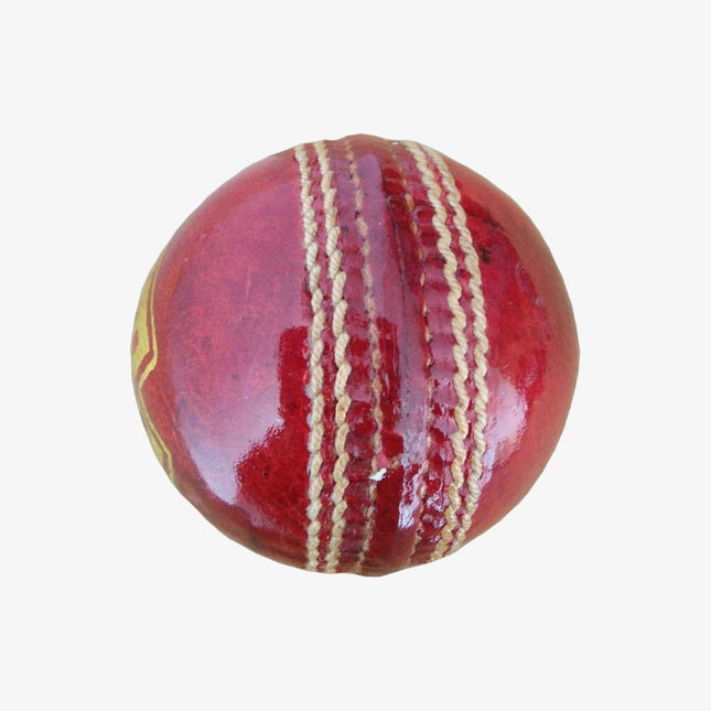 BDM Player Auto/Kapil Dev Leather Ball