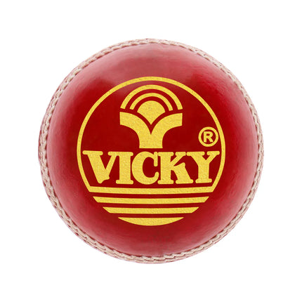 VICKY Leather Cricket Ball Googly