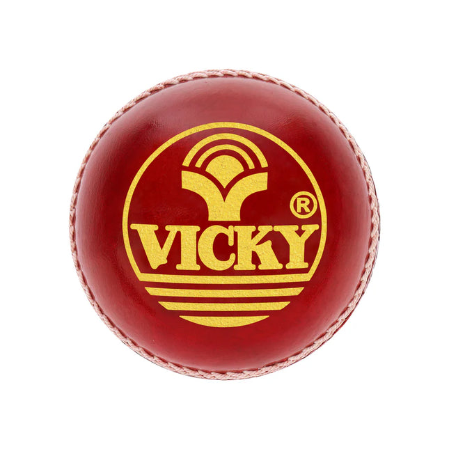 VICKY Leather Cricket Ball Spin