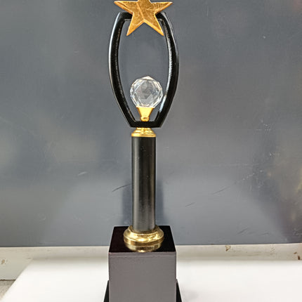 Throphy Star Ball