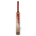 MRF Kashmir Willow Cricket Bat Winner