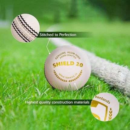 SG Shield 20 Cricket Ball White