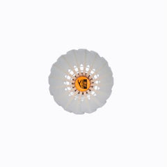 Collection image for: All Products