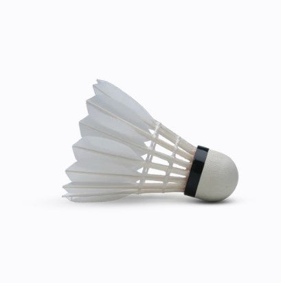 Hundred F10 Feather Badminton Shuttlecock (PC)
