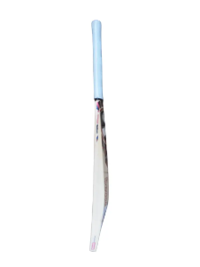SG Titan 1.0 Kashmir Willow Cricket Bat