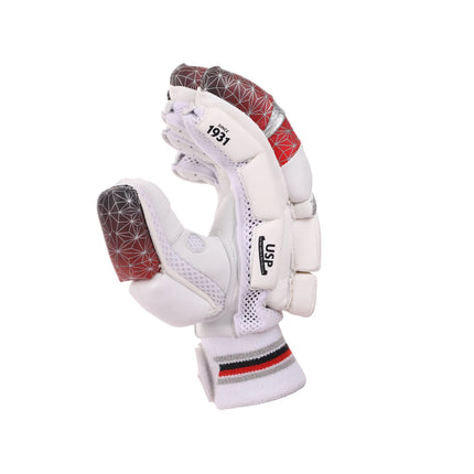 SG Test Cricket Batting Gloves
