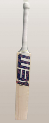 Em GG 2.0 Kashmir Willow Bat