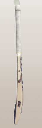 Em GG 2.0 Kashmir Willow Bat