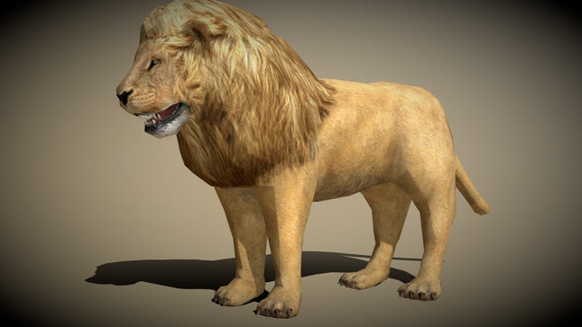 Animal Models