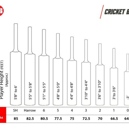 SS Smacker Hulk Kashmir Willow Cricket Bat