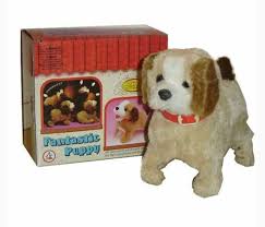 KT jumping  dog