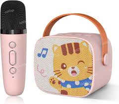 Karaoke Speaker kits