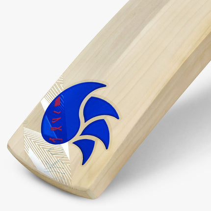 Dsc Intense Assault English Willow Cricket Bat