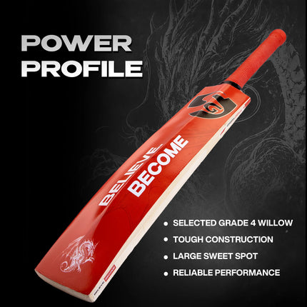SG KLR Plus Kashmir Willow Cricket Bat