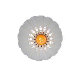 Collection image for: Hundred