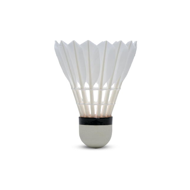 Hundred F1 Professional Badminton Shuttlecock (Pc)